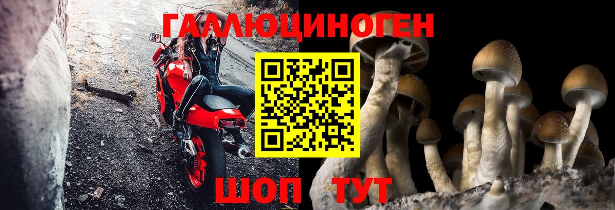 Галлюциногенные грибы прущие грибы  Галлюциногенные грибы Magic Shrooms  Вход с VPN  Норильск 