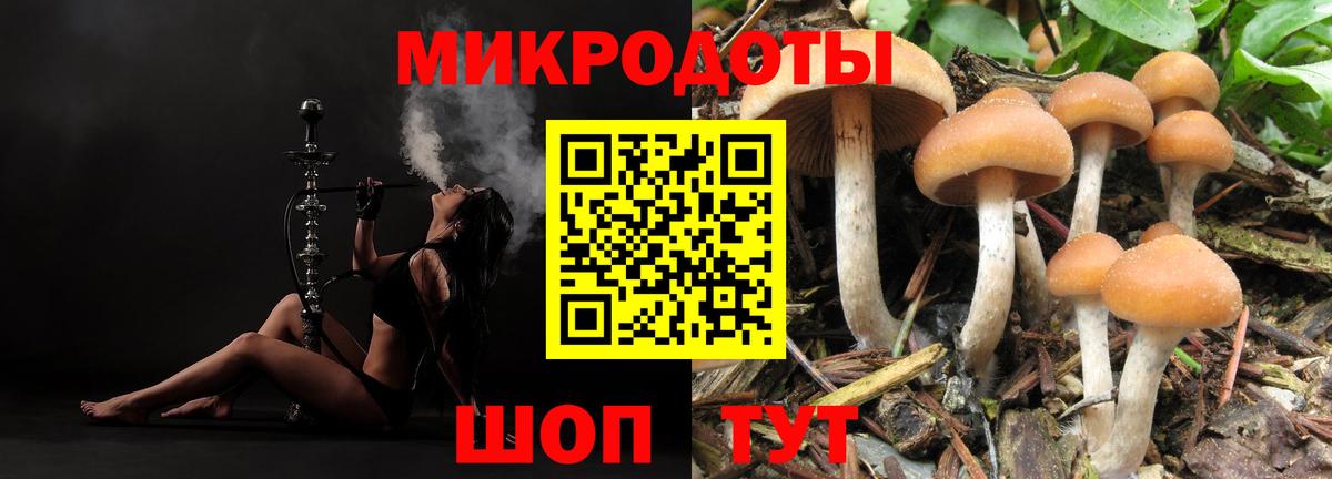 Галлюциногенные грибы прущие грибы Норильск